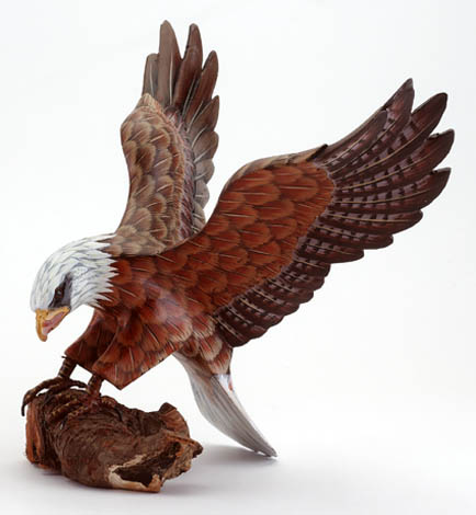 Poised For Flight - Click on image to see a bigger picture.