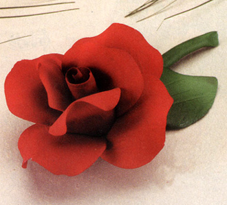 Porcelain Rose - Click on image to see a bigger picture.