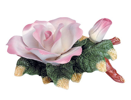 Yellow Rose - Click on image to see a bigger picture.